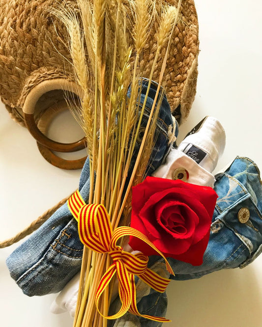 Sant Jordi a casa