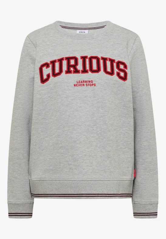 Sudadera de algodón con bordado