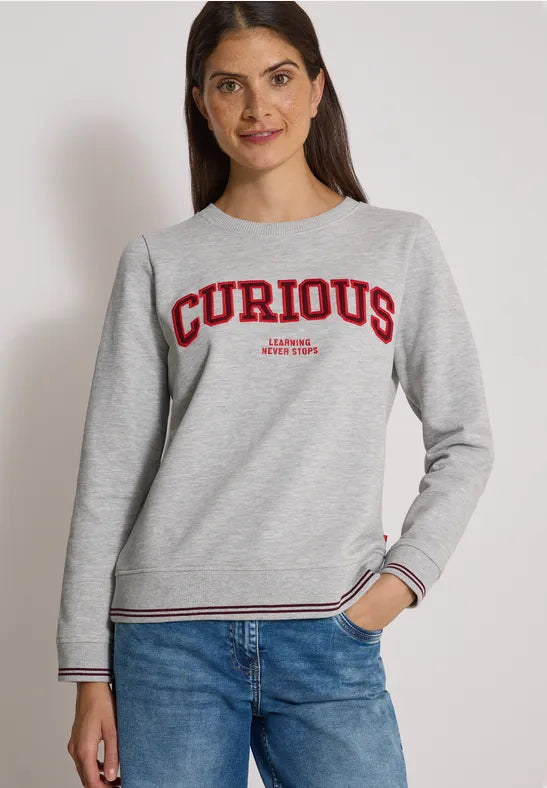 Sudadera de algodón con bordado