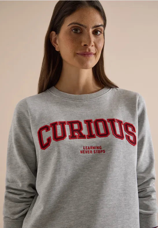 Sudadera de algodón con bordado